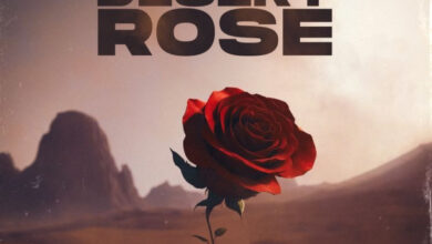 Desert Rose by Kiki Marley