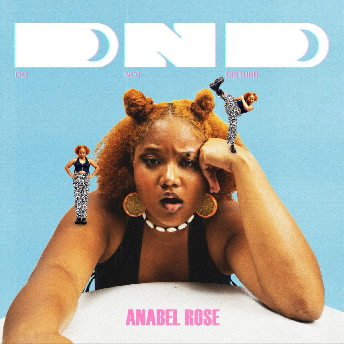 Do Not Disturb by Anabel Rose