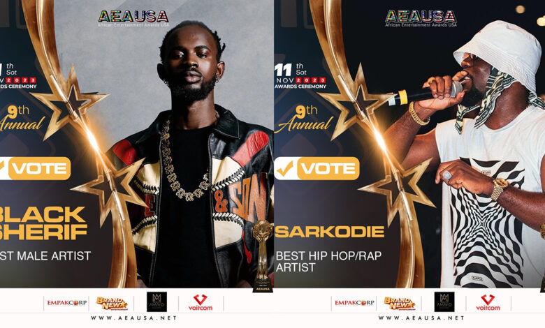 Camidoh, Black Sherif, Piesie Esther, others bag nominations in African Entertainment Awards USA - See Full List
