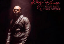 Terminator (Remix) by King Promise feat. Sean Paul & Tiwa Savage