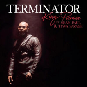 Terminator (Remix) by King Promise feat. Sean Paul & Tiwa Savage