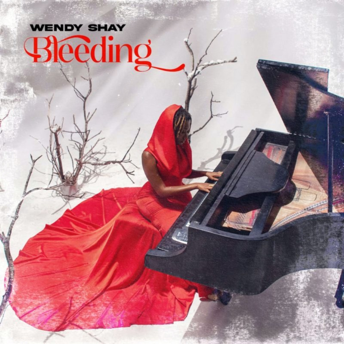 Bleeding by Wendy Shay