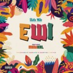 Ewi (Thief) by Shatta Wale feat. Medikal