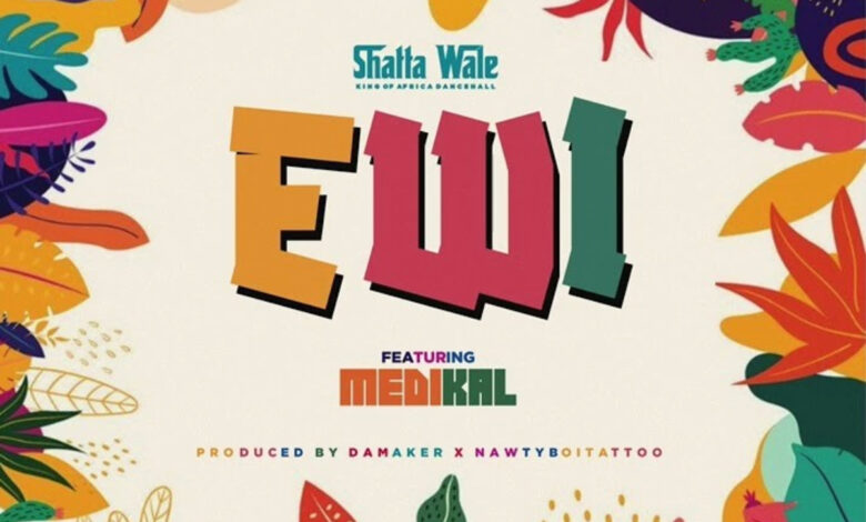 Ewi (Thief) by Shatta Wale feat. Medikal