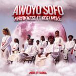 Awoyo Sofo by Kwaw Kese feat. Kofi Mole