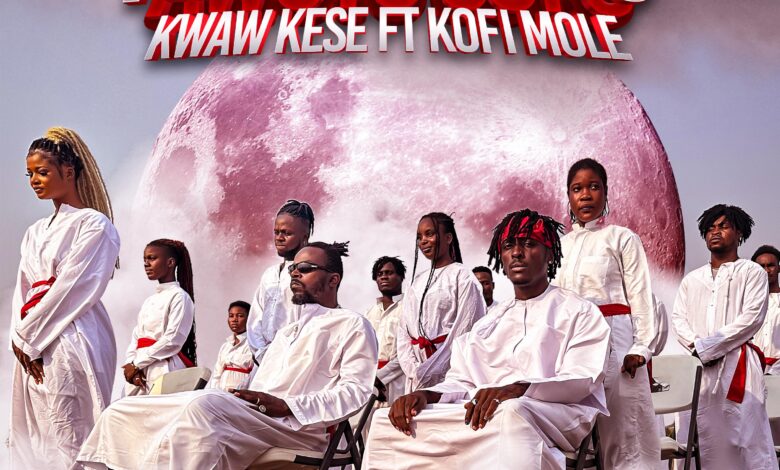 Awoyo Sofo by Kwaw Kese feat. Kofi Mole