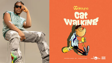 Wakayna models on new sonic runway with new "Catwalking" single - Listen NOW!