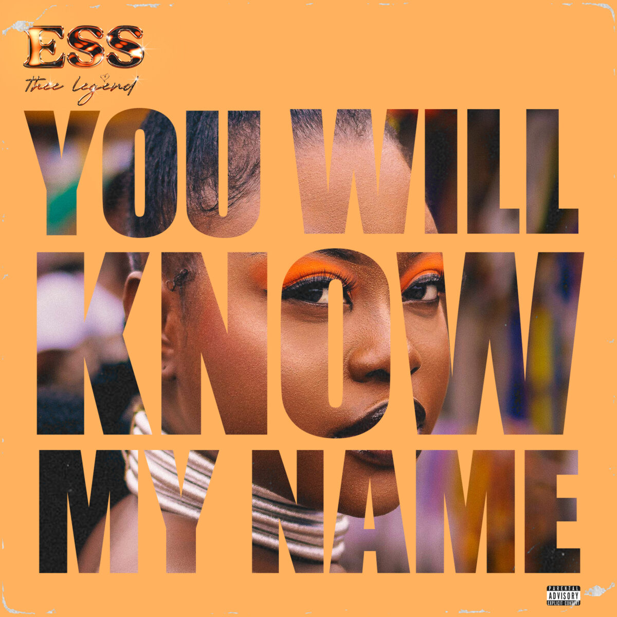 You Will Know My Name by Ess Thee Legend