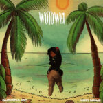 Wotowei by Quamina MP & Kofi Mole