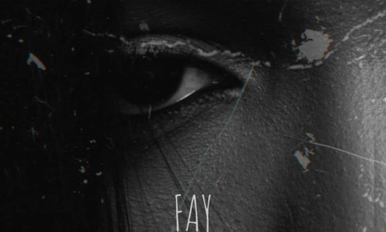 Artwork Cover: In the Dark - Fay