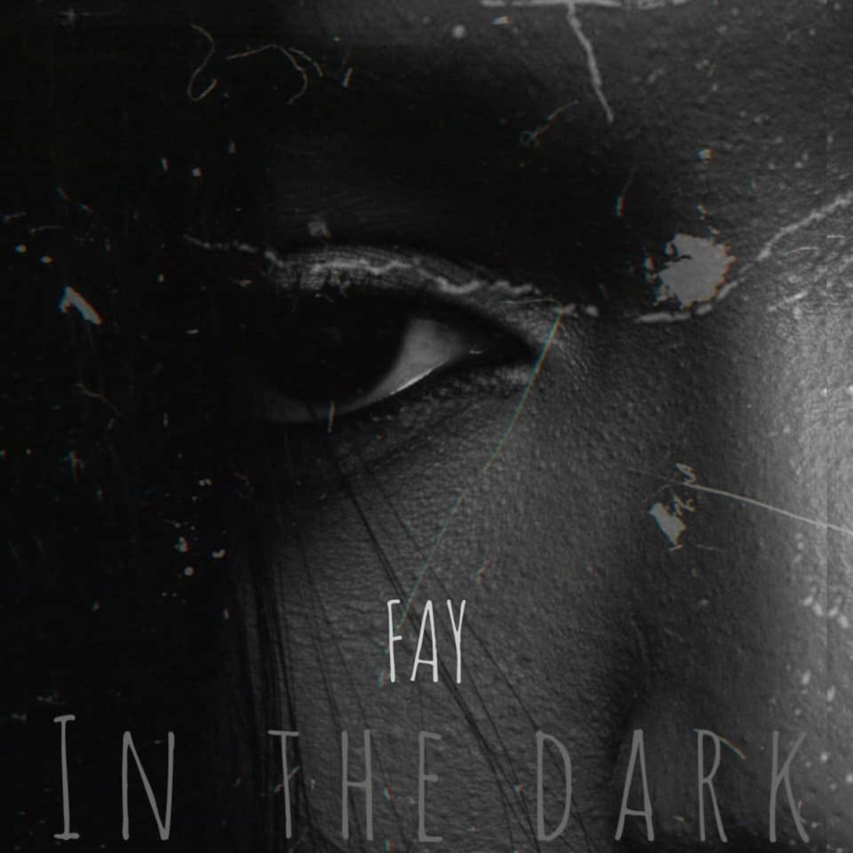 Artwork Cover: In the Dark - Fay