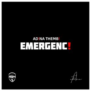 Emergency by Adina Thembi