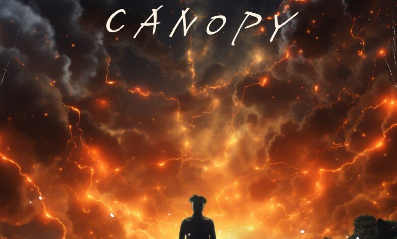 Canopy by Kuami Eugene
