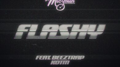 Flashy by DJ Mic Smith feat. Beeztrap KOTM