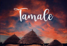 Tamale by Jidula