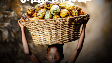 Say No To Child Labour by Israel Maweta