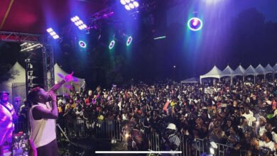 Amerado Shines Bright: Highlights from the 36th Ghanafest Performance in Chicago. Photo Credit: Amerado