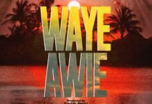 Waye Awie by Kweku Darlington