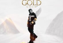 Cover Artwork: The Gold Coin - Amerado