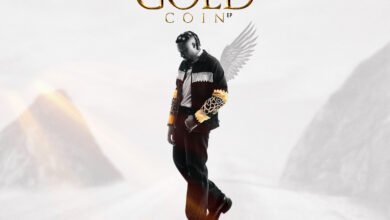 Cover Artwork: The Gold Coin - Amerado