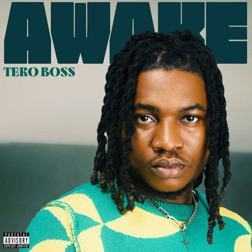 Cover Artwork: Awake - Tero Boss