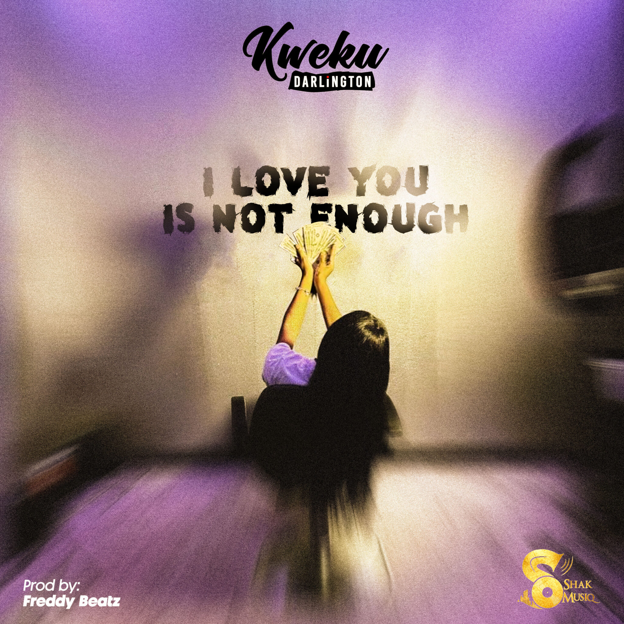 I Love You Is Not Enough by Kweku Darlington