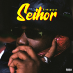 Seihor by DarkoVibes