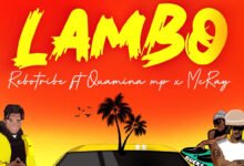 Rebo Tribe unveils new track featuring Quamina MP and McRay