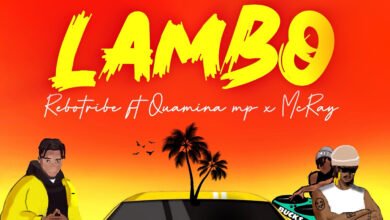 Rebo Tribe unveils new track featuring Quamina MP and McRay