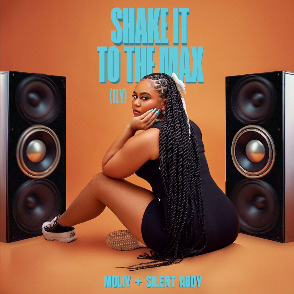 Cover Artwork: Shake It To The Max – MOLIY & Silent Addy