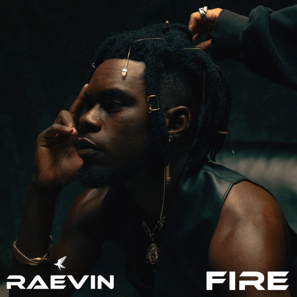 Cover Artwork: Fire - RAEVIN