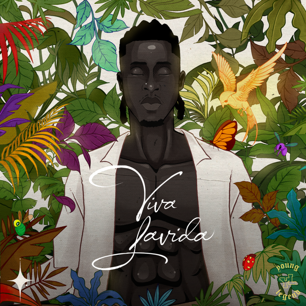 Cover Artwork: VIVA LAVIDA - Joeboy
