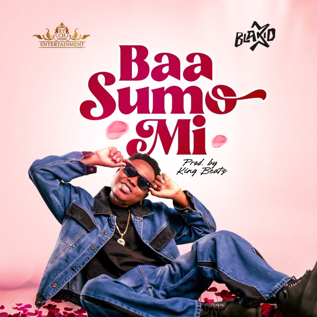 Cover Artwork: Baa Sumo Mi - Blakid