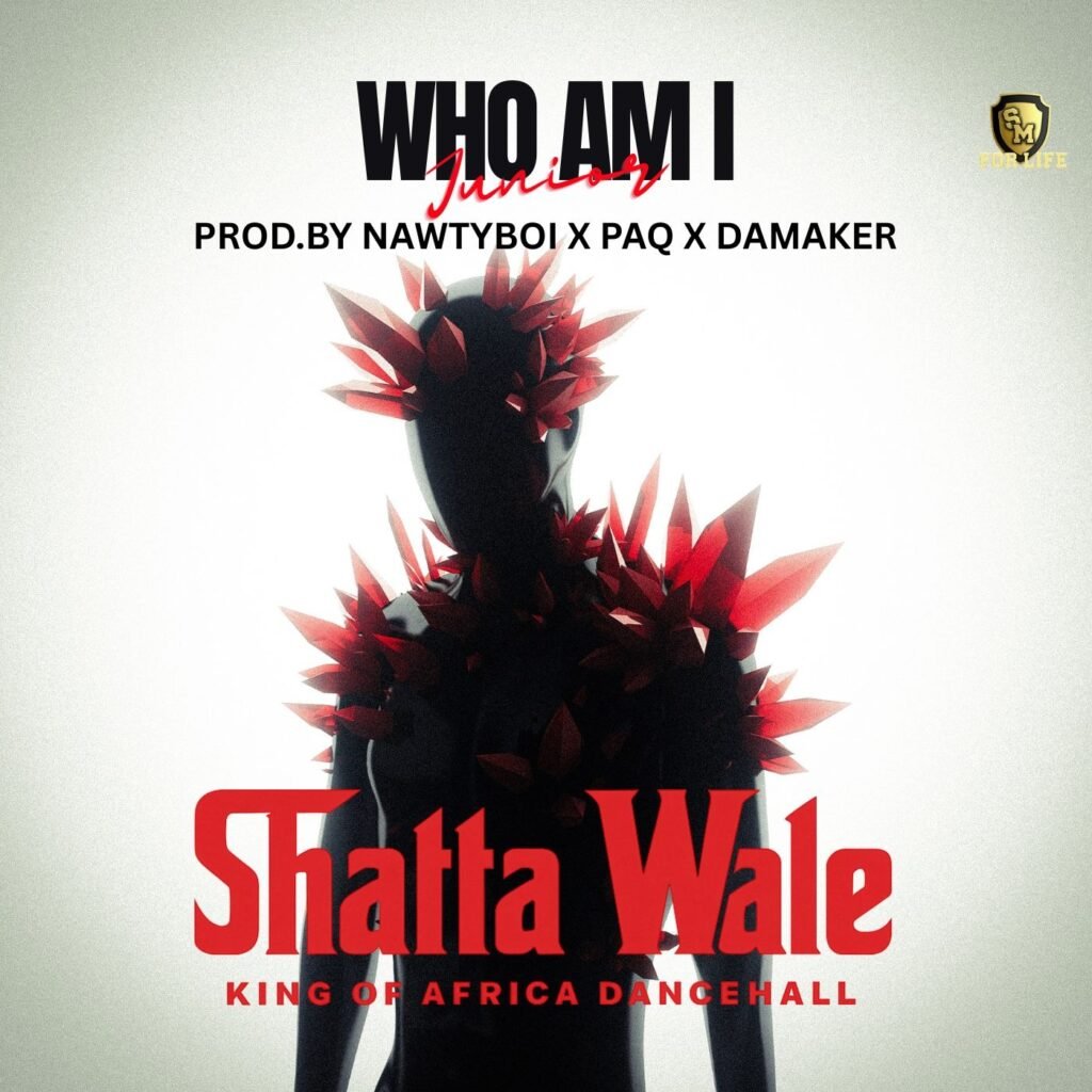 Cover Artwork: Who Am I - Shatta Wale