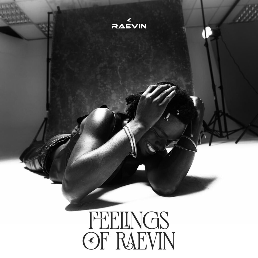 Cover Artwork: Feelings Of Raevin - Raevin
