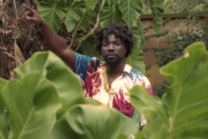 Pure Akan