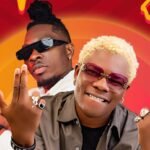 DBee Boy x Article Wan