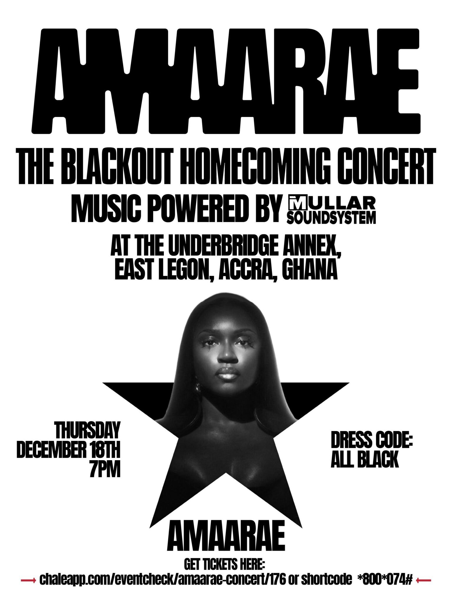The Blackout: Amaarae Homecoming Concert. Credit: Supplied.