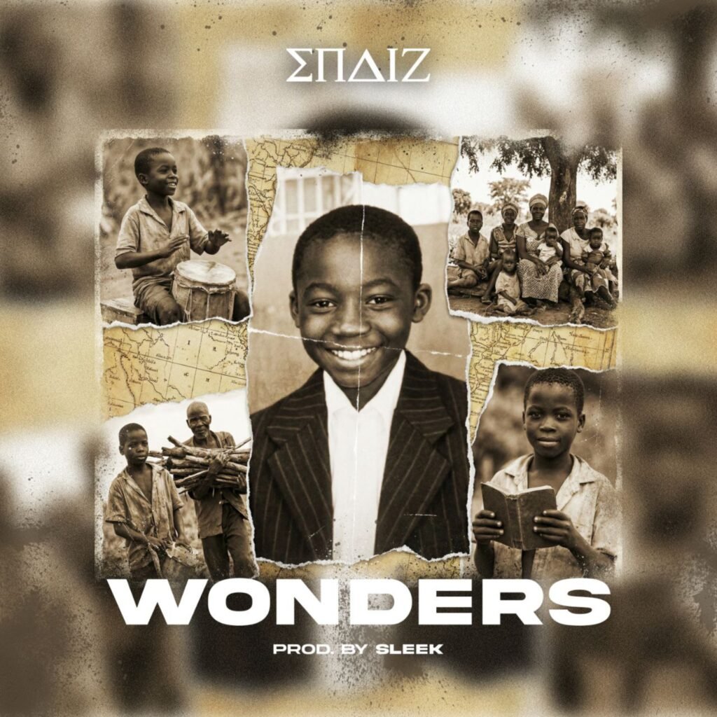 Cover Artwork: Wonders - Endiz